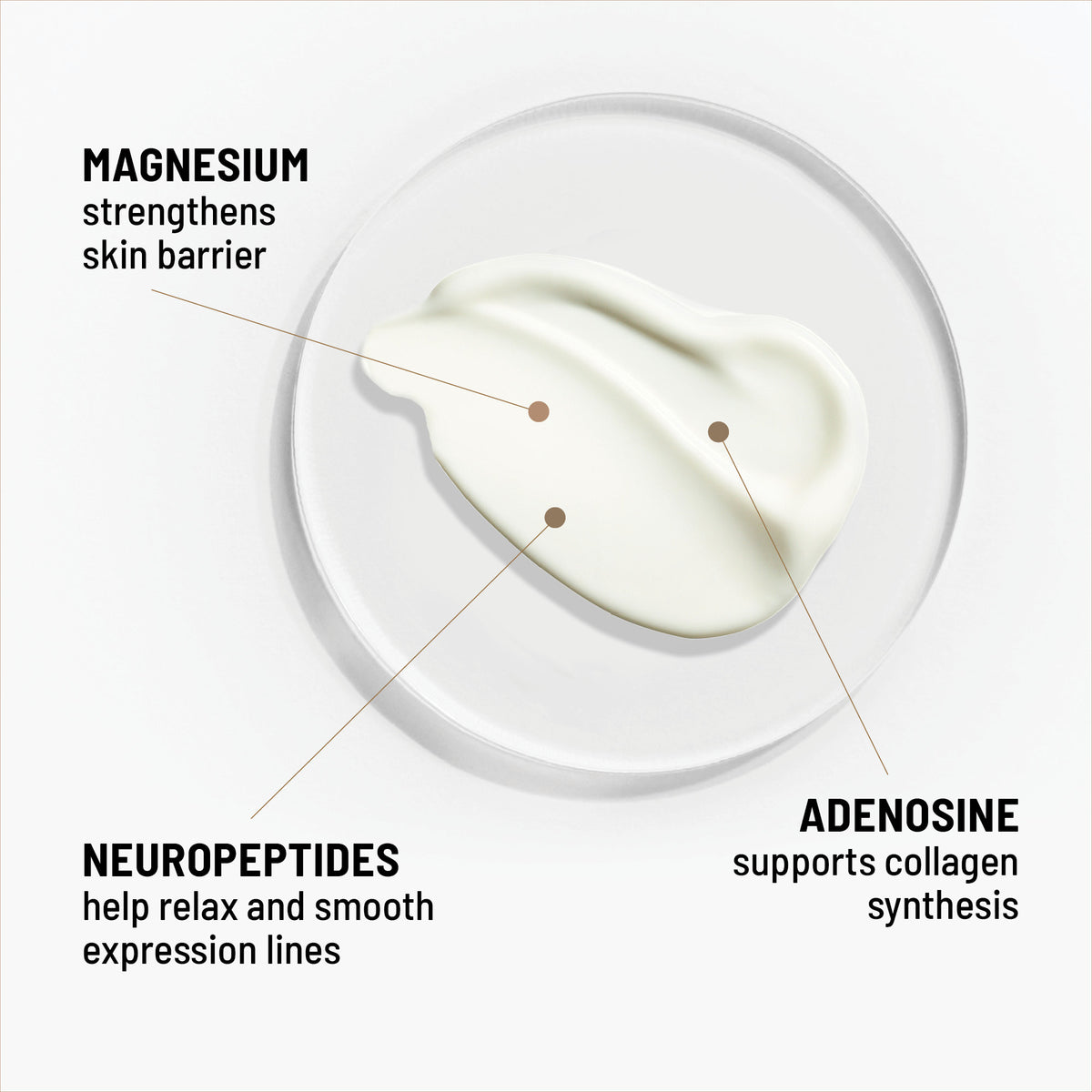 WRINKLE SMOOTHING CREAM