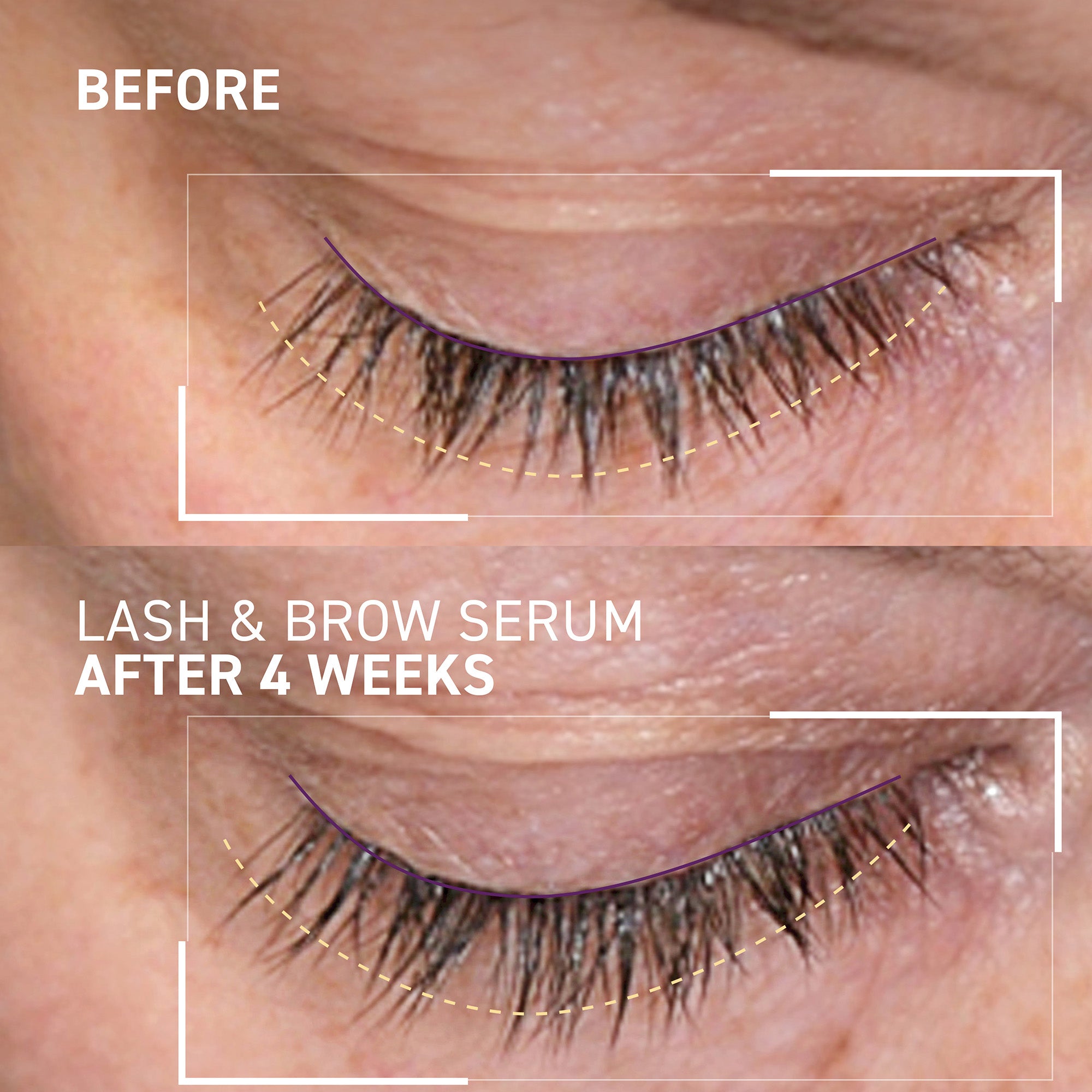 Lash and Brow Serum