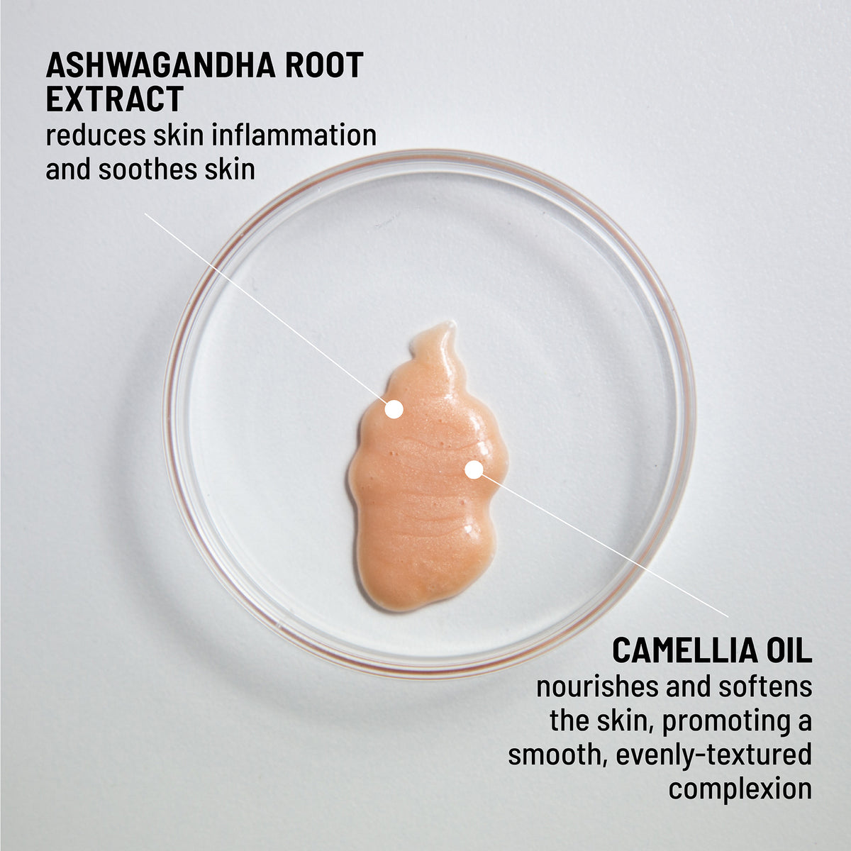 HYDRATING SERUM-TO-HIGHLIGHTER