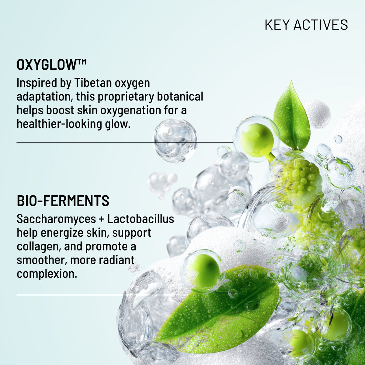 Oxygen Facial Duo + Holiday Sleeve