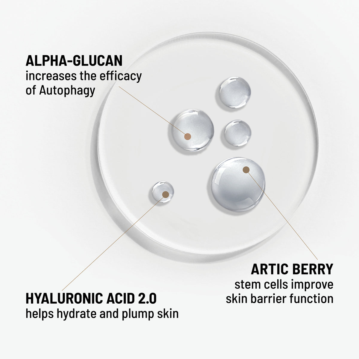 ALL-DAY STRENGTHENING SERUM