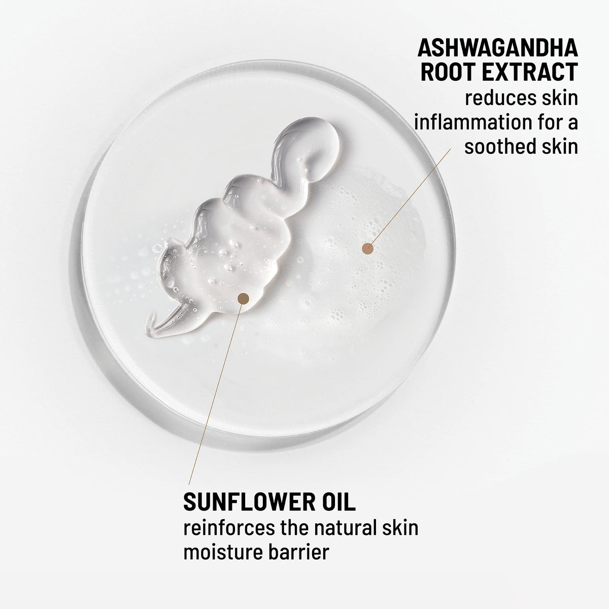 OIL-TO-FOAM CLEANSER