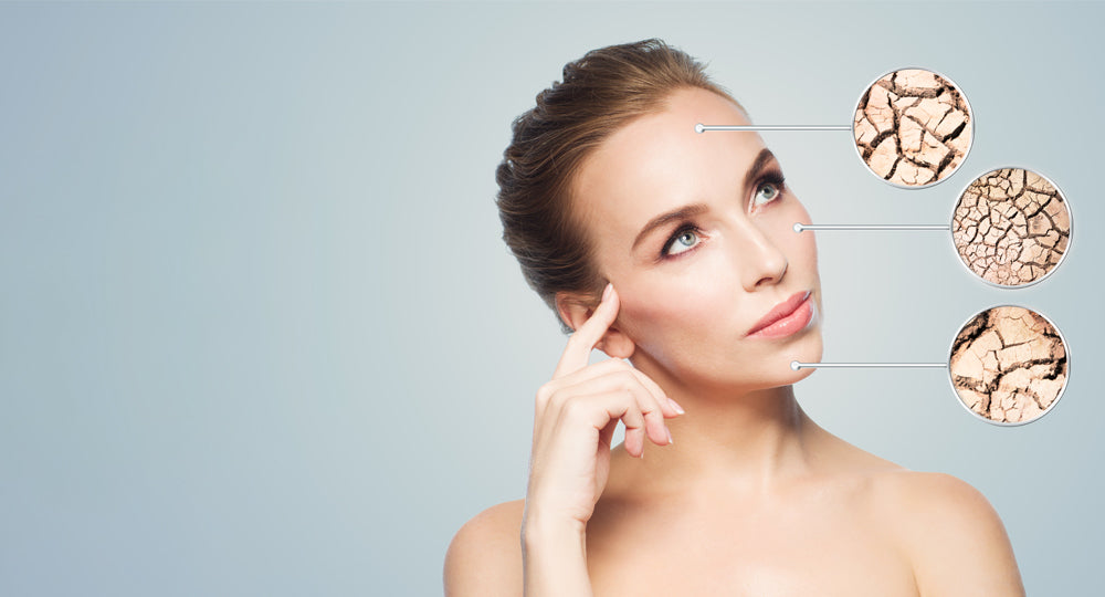 What are free radicals and how can you stop them from damaging your skin?