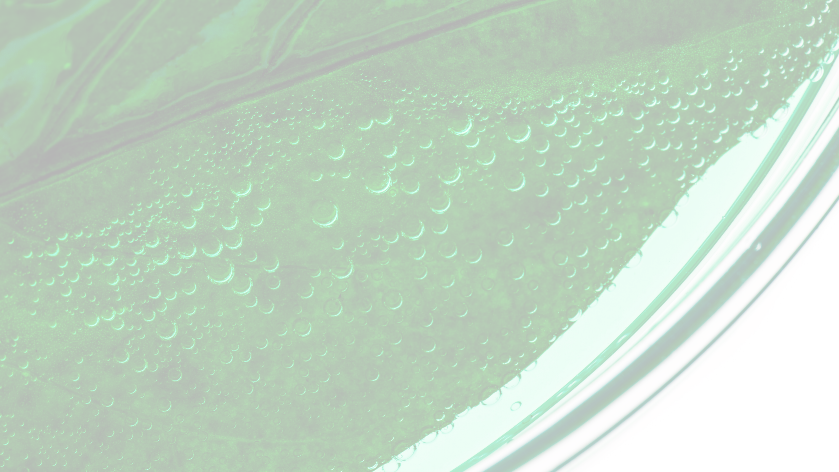 Deep Dive Into Pores