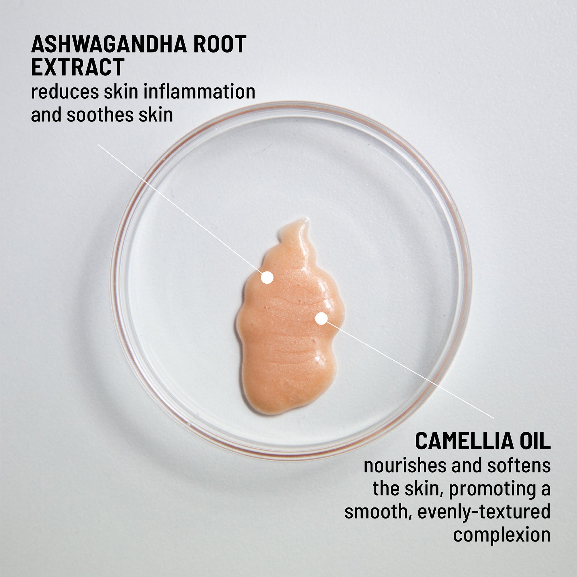 Hydrating Serum-to-Highlighter