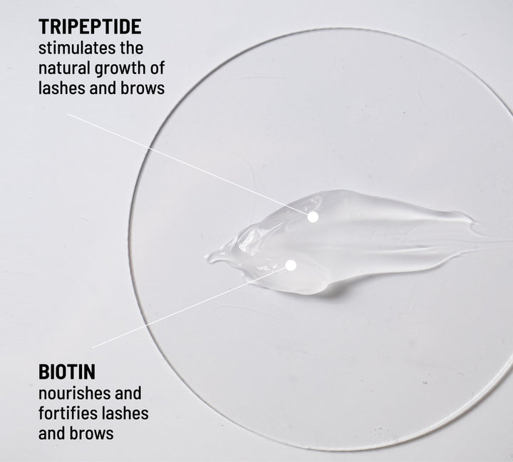 Tableware, Dishware, Kitchen utensil, Circle, Cutlery, Fish, Transparency, Science, Font, Plankton