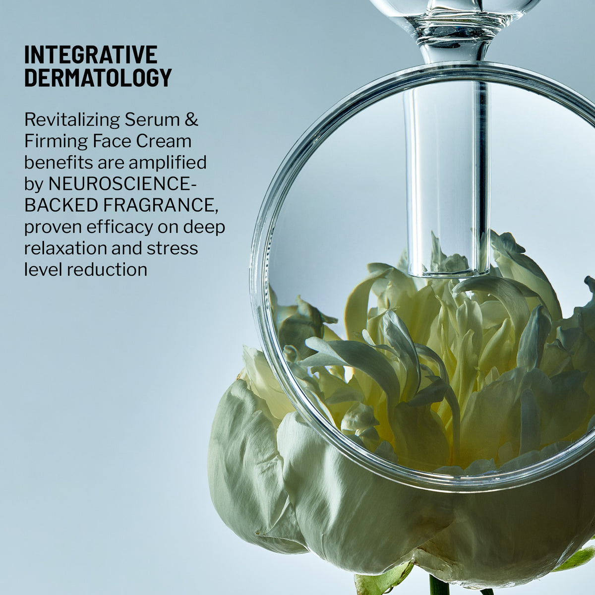 Jen Hatmaker’s Holiday Renewal Protocol