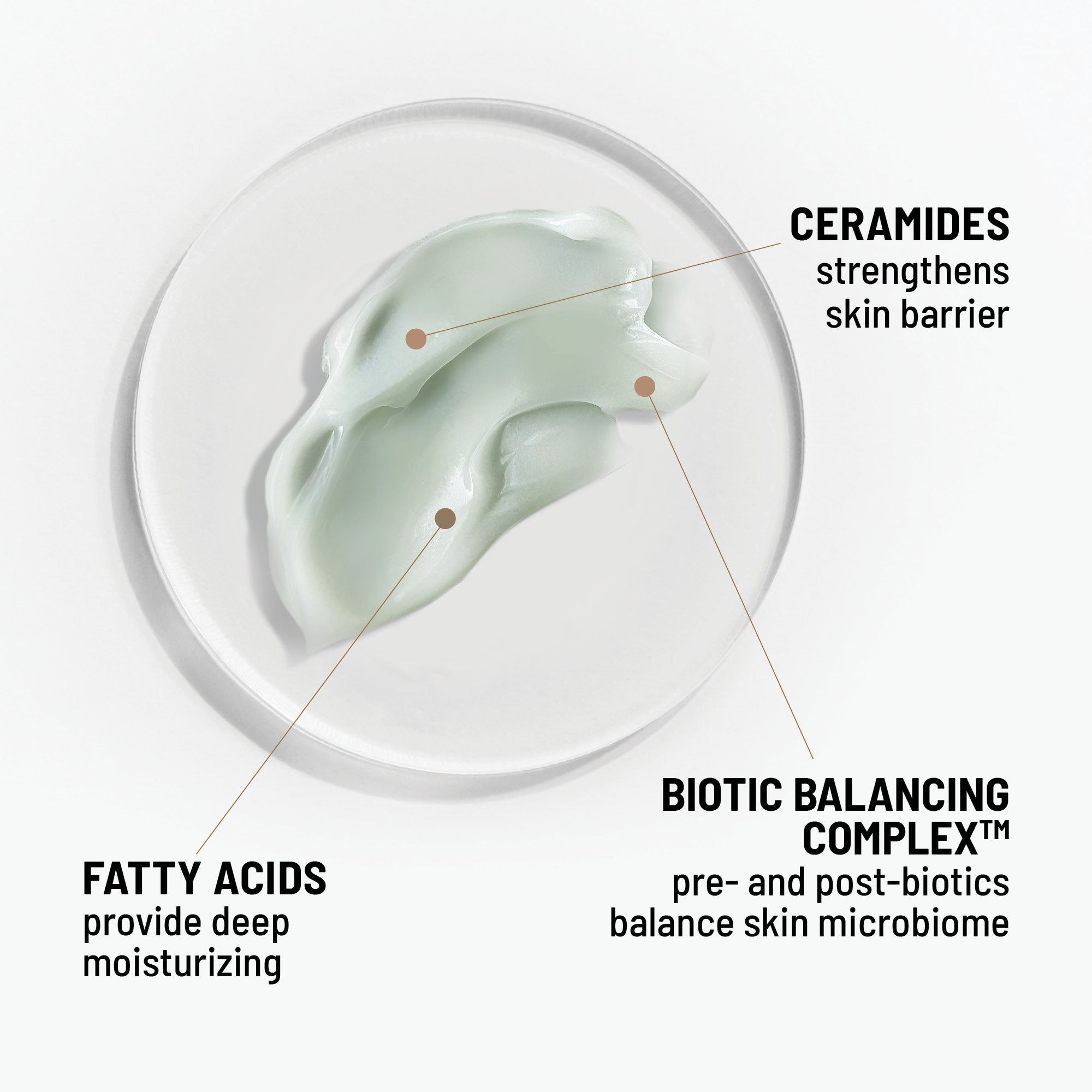 Hydro Biotic