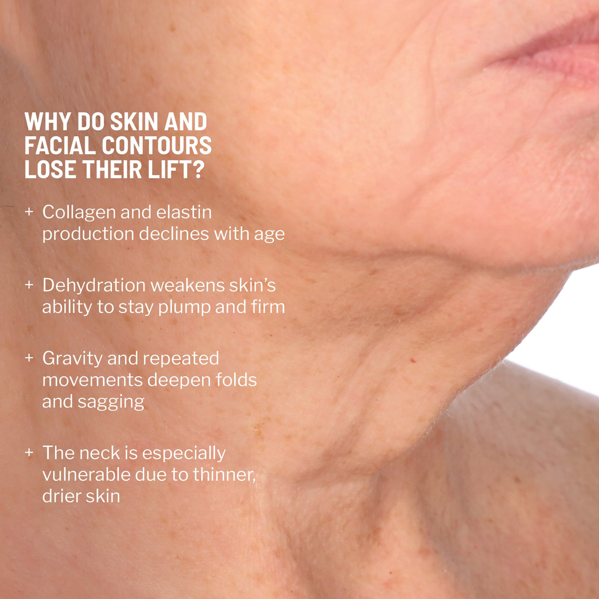 Face & Neck Lifting Duo + Holiday Sleeve