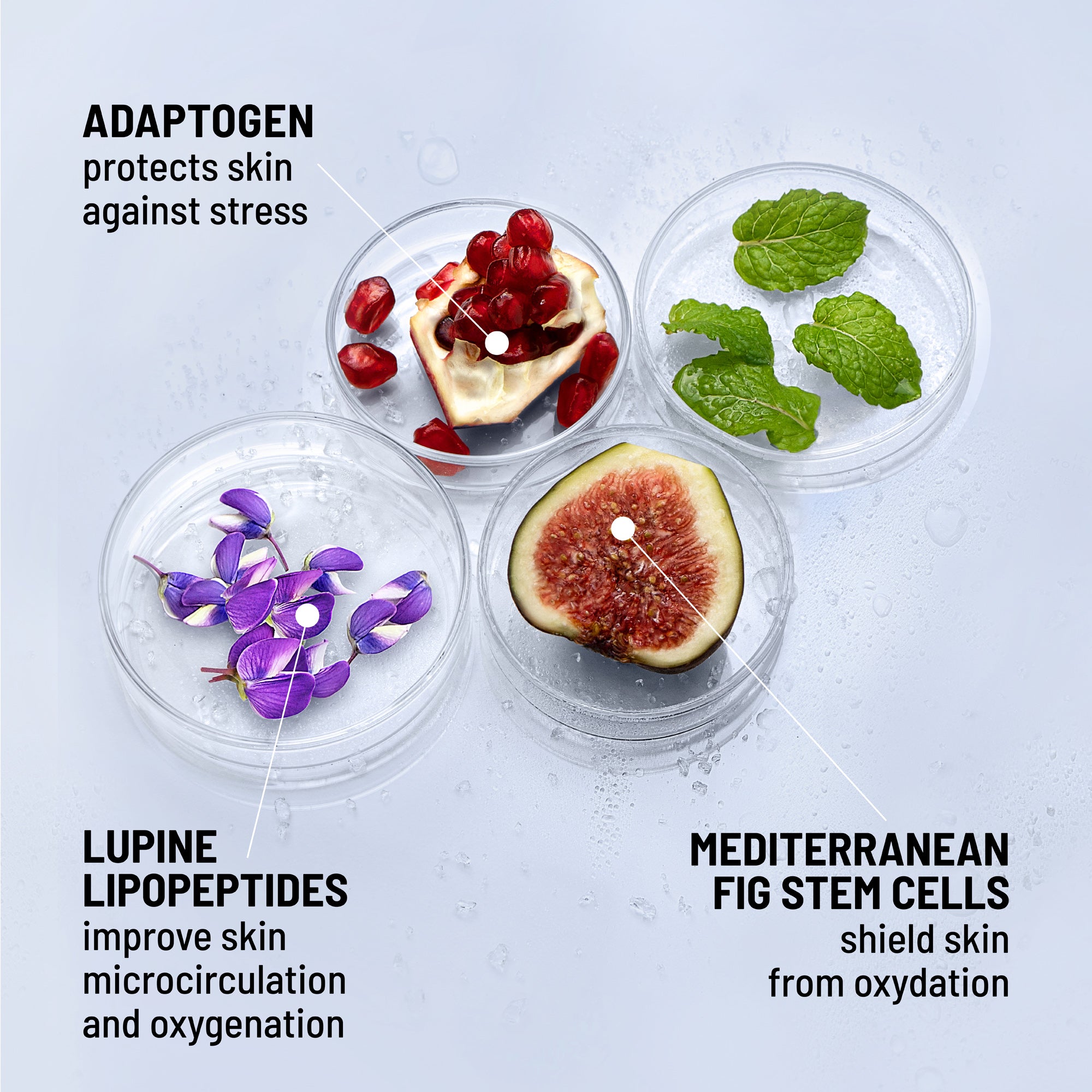 Icy Gel Moisturizer
