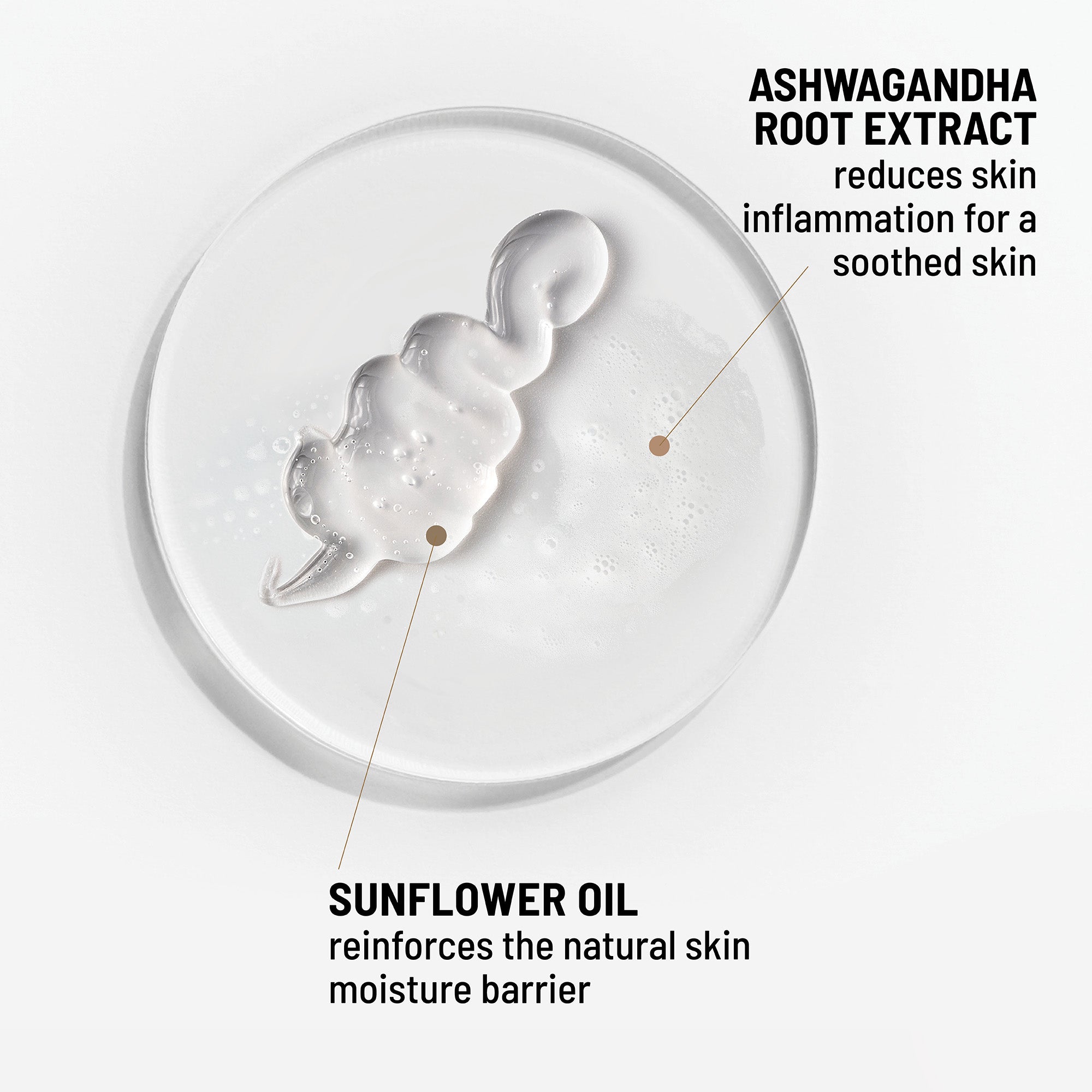 Oil-to-Foam Cleanser